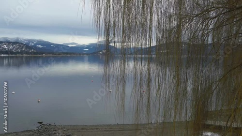 Calm and lovely Shuswap Lake near Sorrento with the rocky mountains on the background on a cloudy day. Truck shot with a green tree on the foreground photo