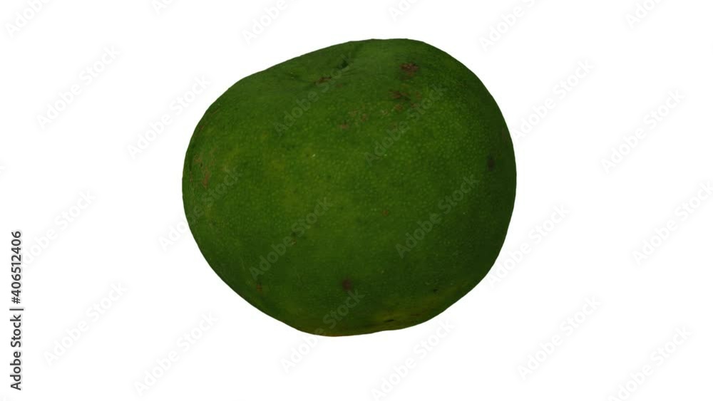 Realistic render of a rotating Lime on white background. The video is seamlessly looping, and the 3D object is scanned from a real lime.
Realistic render of a rotating Lime on white background. The video is seamlessly looping, and the 3D object is scanned from a real lime.