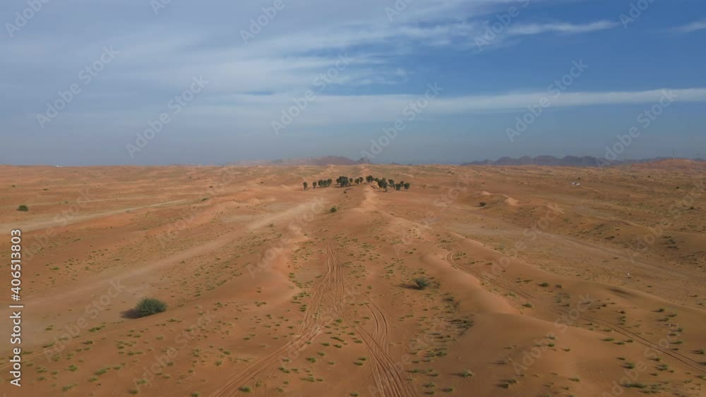 TOP VIEW: Desert with golden sand and Trees in the UAE. Green Desert concept, Landscape video of the desert with mountains, sand and Trees. 4k Footage TOP VIEW: Desert with golden sand and Trees in the UAE. Green Desert concept, Landscape video of the desert with mountains, sand and Trees. 4k Footage
