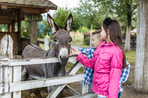 Happy children spending great time at farm ranch and meeting a donkey