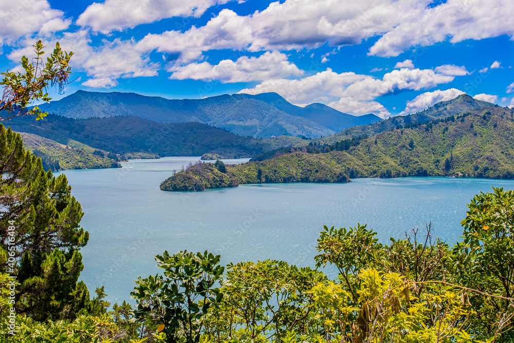Harbor of the North Island near Havelock in New Zealand