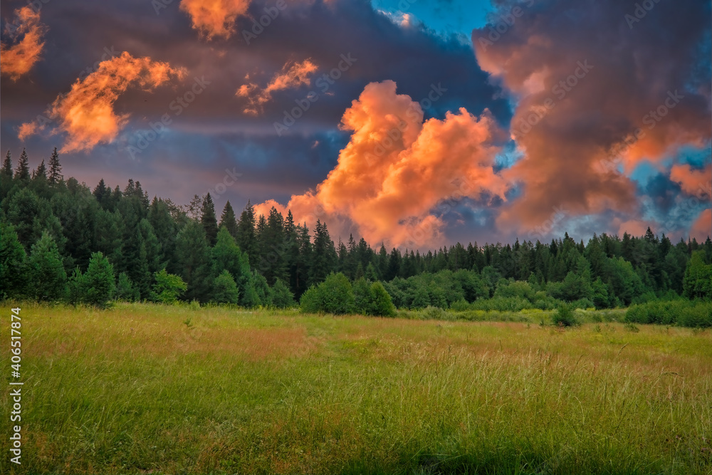 Fototapeta premium Summer landscape green meadow on a background of forest and sunset sky.