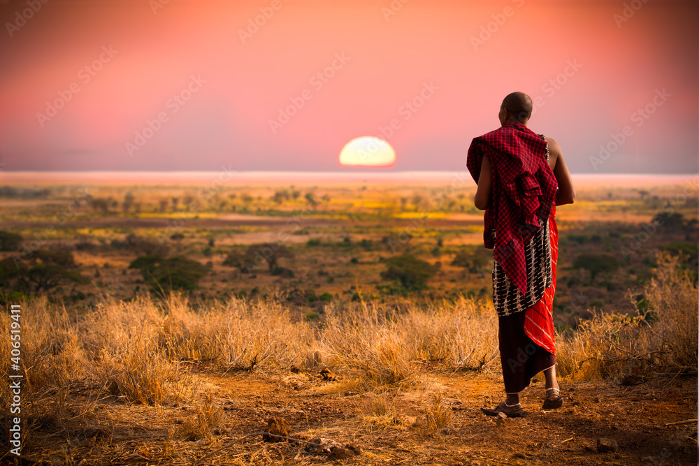 Massai man， wearing traditional blankets， overlooks Serengeti in Tanzania - obrazy, fototapety, plakaty 