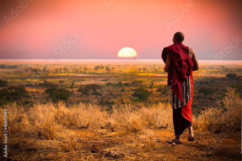 Massai man， wearing traditional blankets， overlooks Serengeti in Tanzania