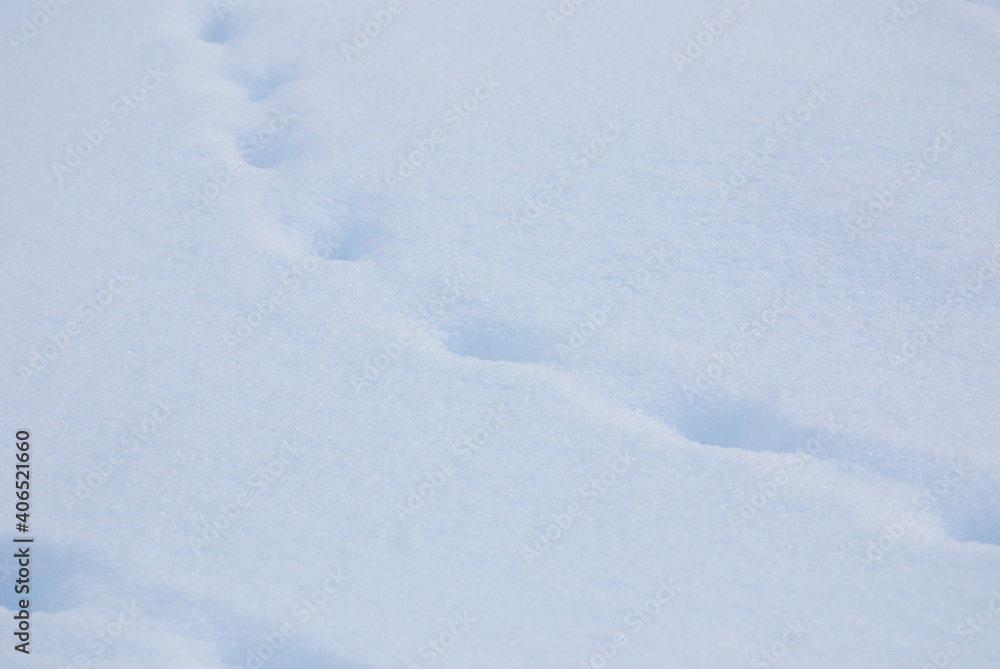 Snow texture with animal tracks Snow texture with animal tracks