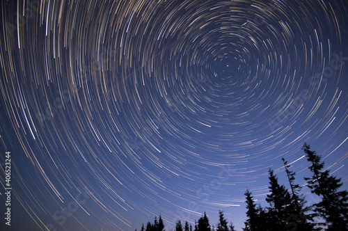 Star trails in the night sky in the forest