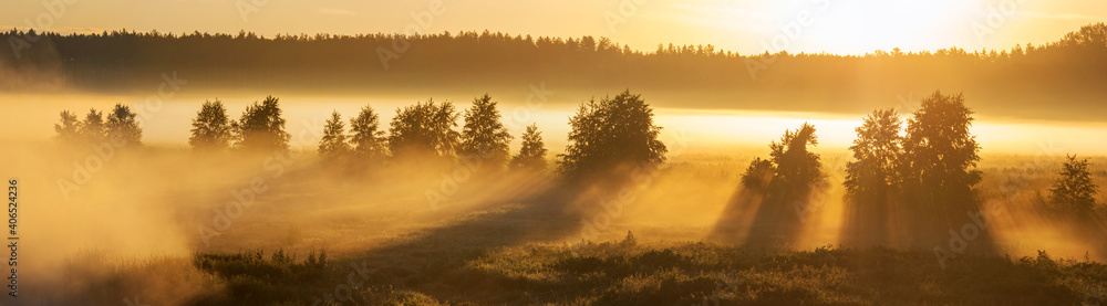 foggy morning and fog with beautiful shadows over the river foggy morning and fog with beautiful shadows over the river