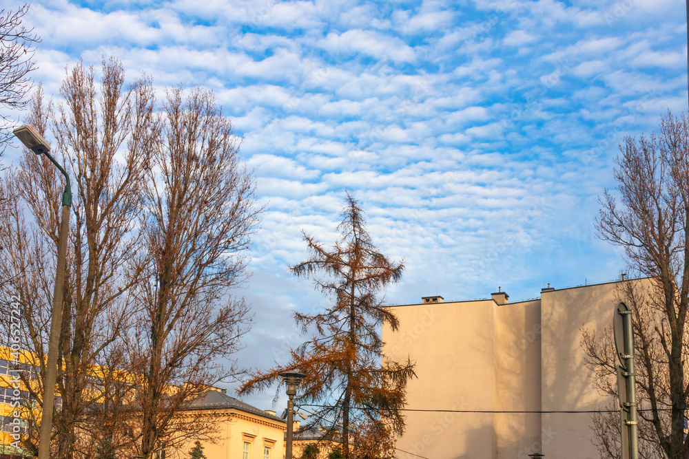 autumn, cityscape, high-rise buildings, blue sky with clouds, trees autumn, cityscape, high-rise buildings, blue sky with clouds, trees