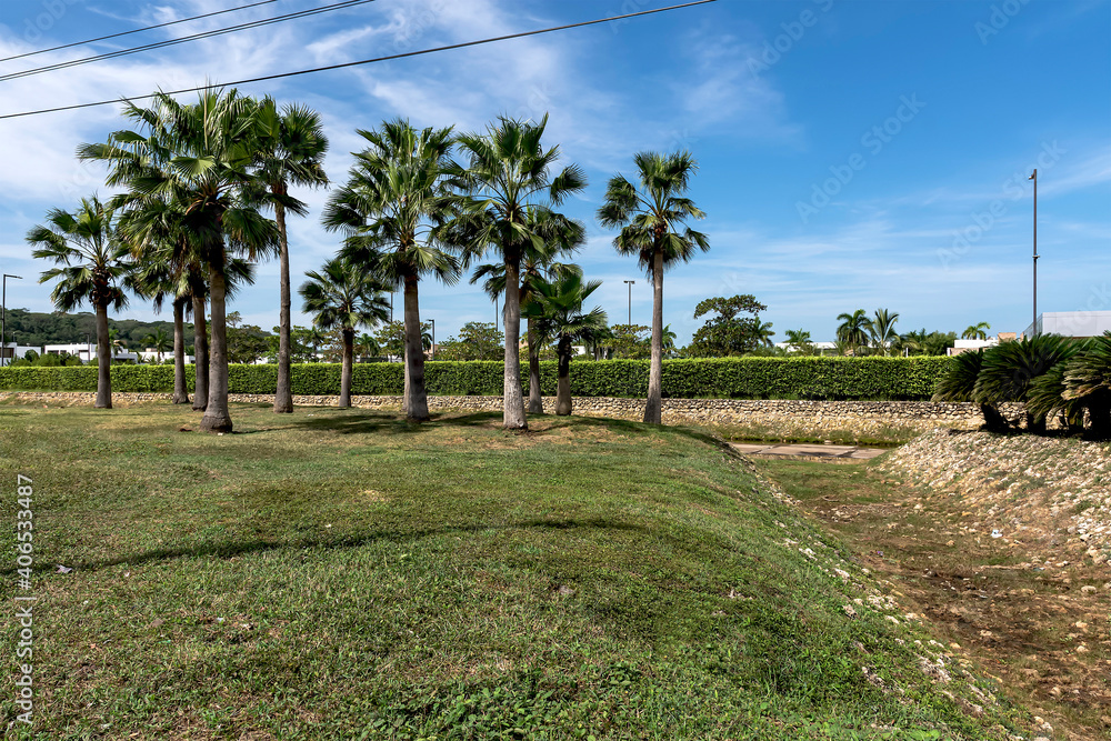 Green area with palm trees at the entrance of an urbanization. Green area with palm trees at the entrance of an urbanization.