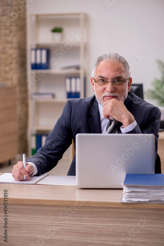 Aged businessman employee sitting in the office © Elnur