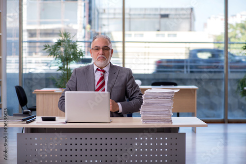 Aged businessman employee working in the office