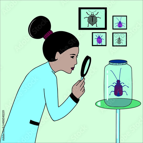 Entomologist Character Search and Study Bugs . Woman with Professional Occupation. Flat Vector Illustration