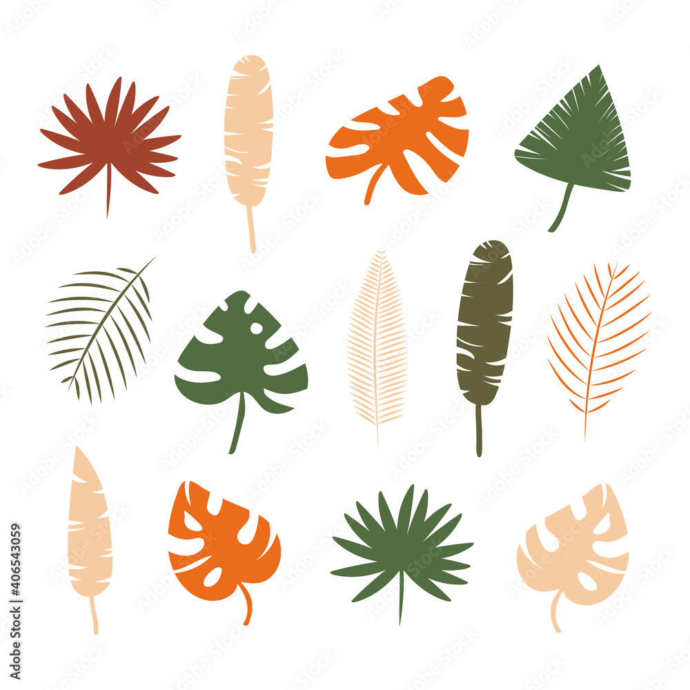Vector set of colored tropical leaves,isolated on white background .