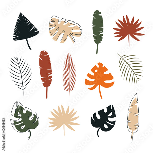 Vector set of colored tropical leaves isolated on white background .