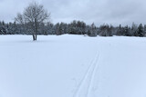 Cross country ski tracks in snow in winter landscape