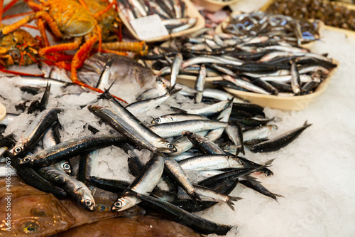 Pile of fresh anchovies fishes laying on the ice on the market. High quality photo