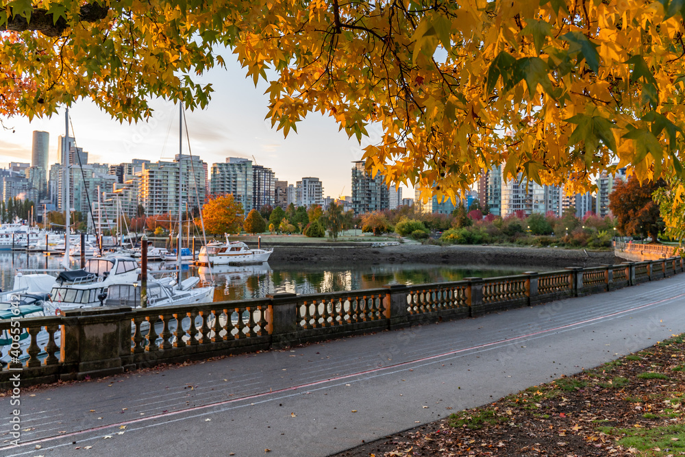 Naklejka premium Sunrise in Stanley Park in autumn