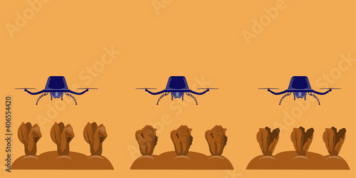 Agricultural drones are exploring growing vegetable gardens.