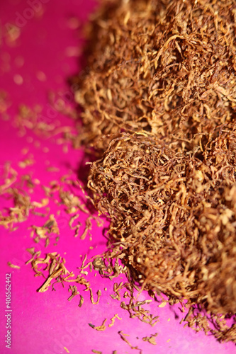 Rolling tobacco leaves close up background stock photography modern high quality print