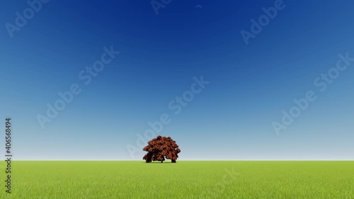 Green single tree Nature background photo