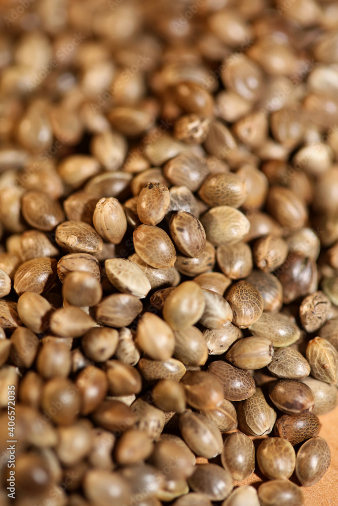 Cannabis seeds close up modern background high quality prints Cannabis seeds close up modern background high quality prints