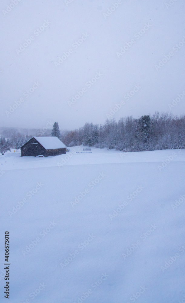 Winter landscape during a heavy snowfall Winter landscape during a heavy snowfall