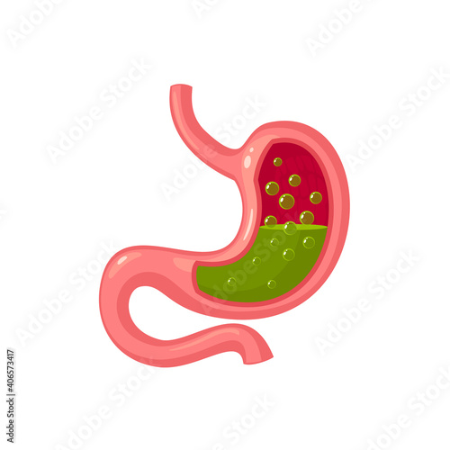 Gastric juice in human stomach. Internal organ, anatomy. Vector cartoon flat icon illustration isolated on white background.
