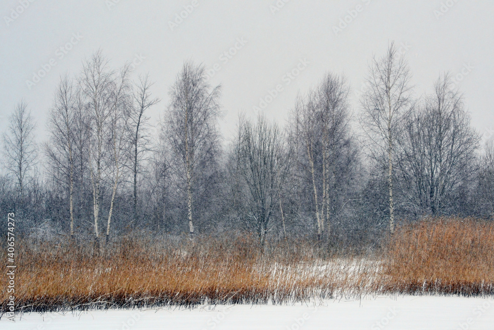 Gloomy monochrome winter landscape in an overcast day, Silhouettes of bare trees and bushes on a snowy field Gloomy monochrome winter landscape in an overcast day, Silhouettes of bare trees and bushes on a snowy field