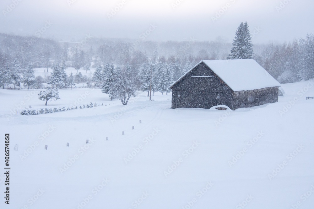 Winter landscape during a heavy snowfall