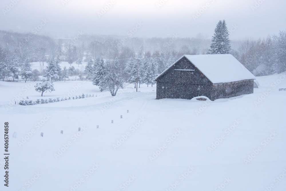 Winter landscape during a heavy snowfall Winter landscape during a heavy snowfall