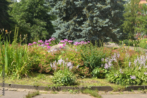 Fototapeta Naklejka Na Ścianę i Meble -  Scenic landscaped park-garden. Beautiful blooming flower summer garden