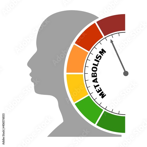 Metabolism level scale with arrow. The measuring device. Sign tachometer, speedometer, indicators. Infographic gauge element. Head of man silhouette.