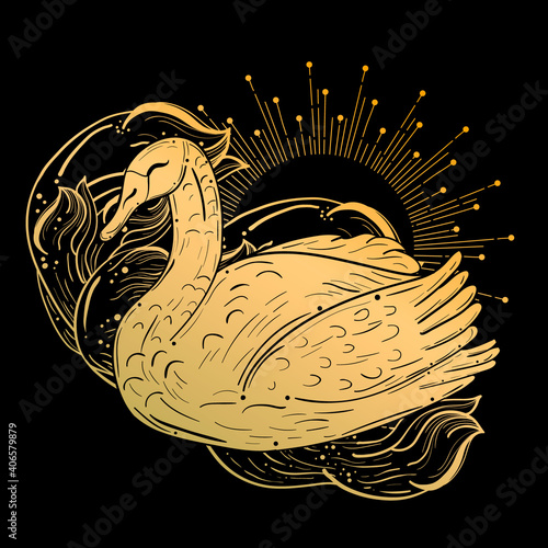 Tattoo art style illustration of a swan. Dark, gothic, witchy vibes.