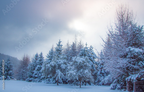 Winter landscape during a heavy snowfall 
