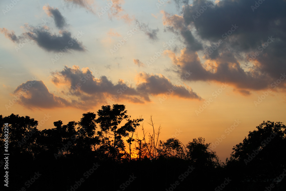 sunset in the forest