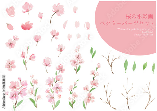 水彩画の桜のパーツセット