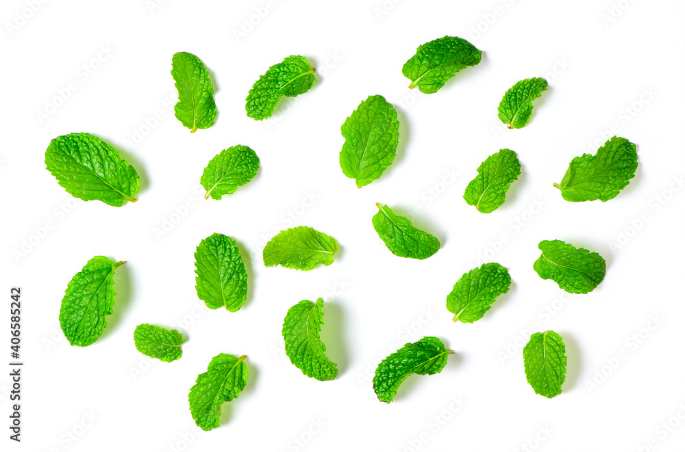 Mint leaves isolated on white background, Herbs and Spices Mint leaves isolated on white background, Herbs and Spices