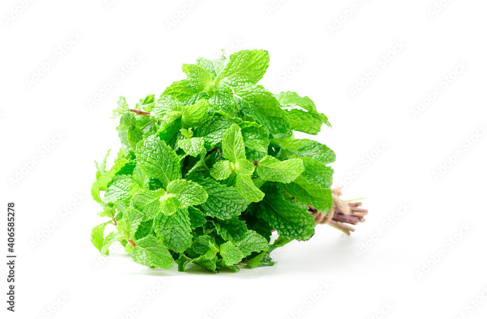 Close up of Mint leaves isolated on white background, Herbs and Spices Close up of Mint leaves isolated on white background, Herbs and Spices
