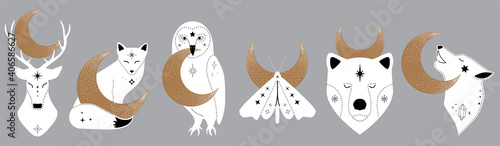mystic collection of woodland animals with crescent moon. Moth, bear, wolf, fox, deer, owl. Celestial elements. Vector magic animals. Boho Woodland Wildlife