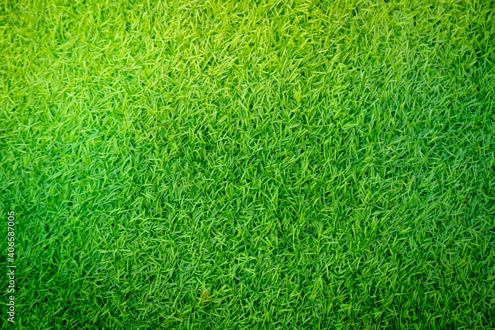 Obraz premium Green artificial grass