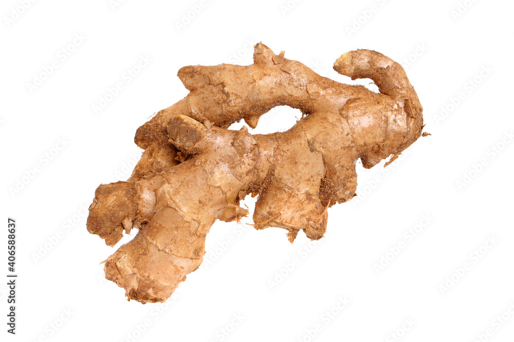 ginger root isolated on white ginger root isolated on white