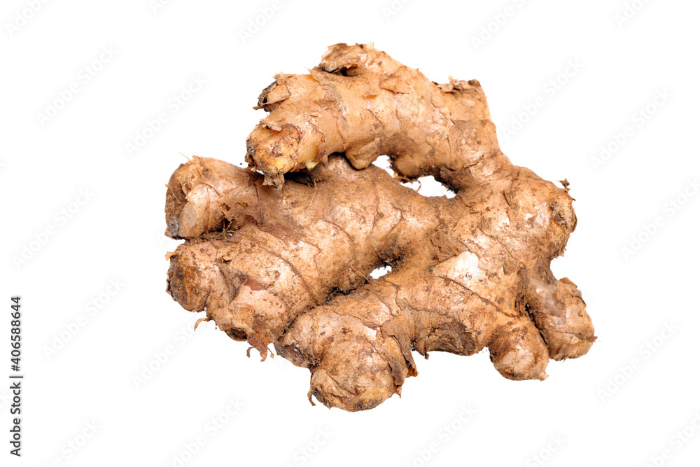 ginger root isolated on white ginger root isolated on white