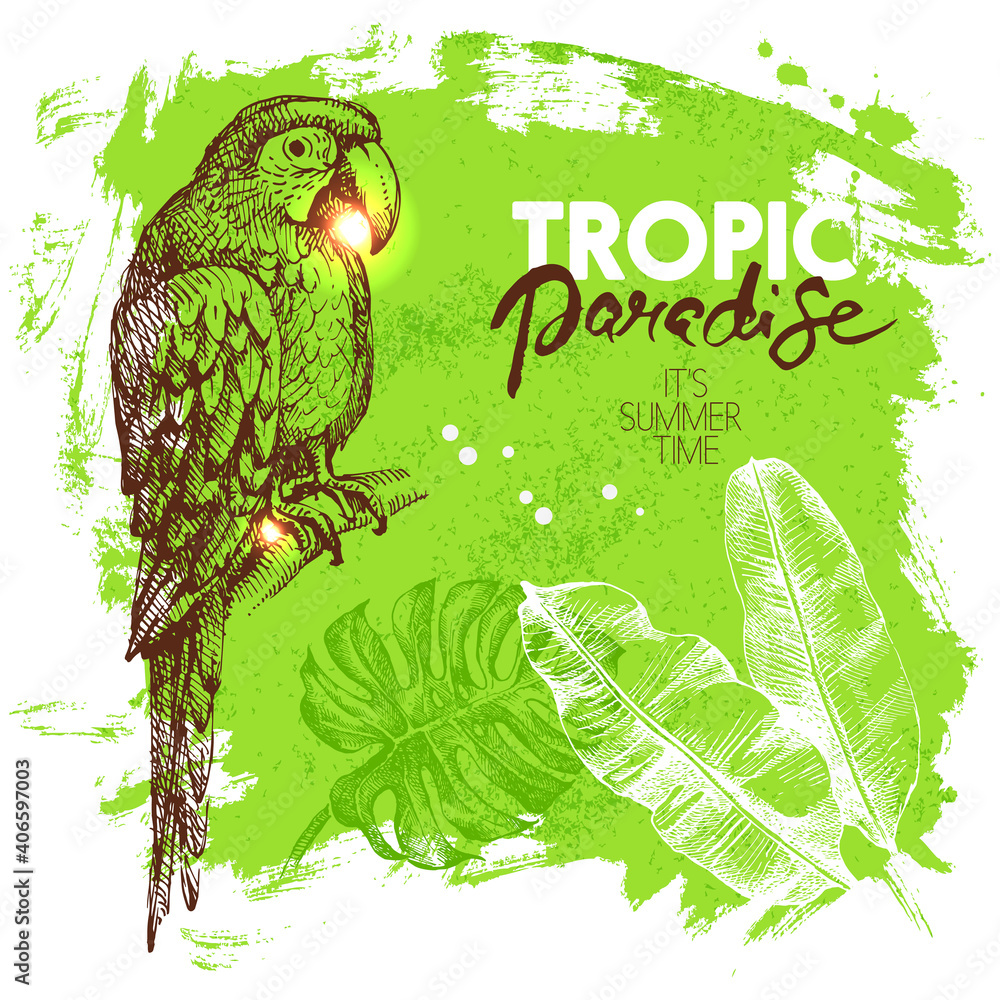 Fototapeta premium Hand drawn sketch tropical paradise plants and birds background. Vector illustration