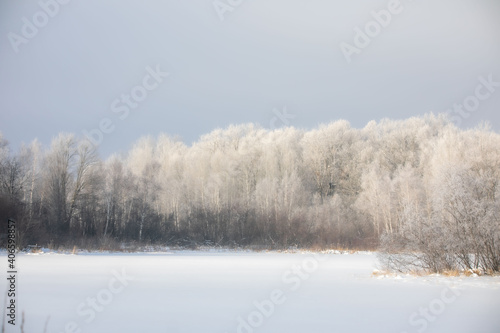 Snowy Trees © Amy