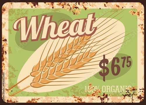 Wheat metal rusty plate, cereals and grain food price menu, vector vintage grunge poster. Natural organic wheat ear spiklets, farm market and bakery grain shop price sign with rust