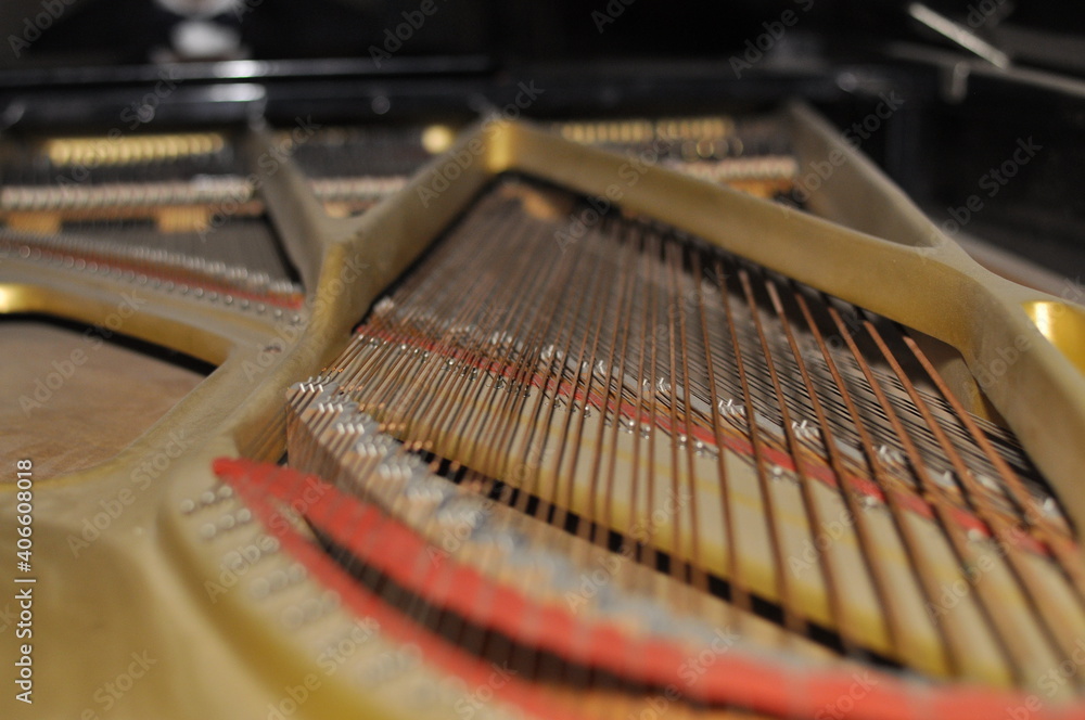 Tuning Your Piano. Close-up view. Musical instruments. High quality photo Tuning Your Piano. Close-up view. Musical instruments. High quality photo