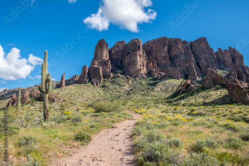 An overlooking view of nature in Lost Dutchman SP, Arizona