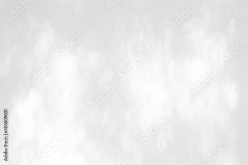 Leaves Shadow on White Stucco Concrete Wall Texture Background, Suitable for Overlay, Product Presentation, Backdrop and Mockup.
