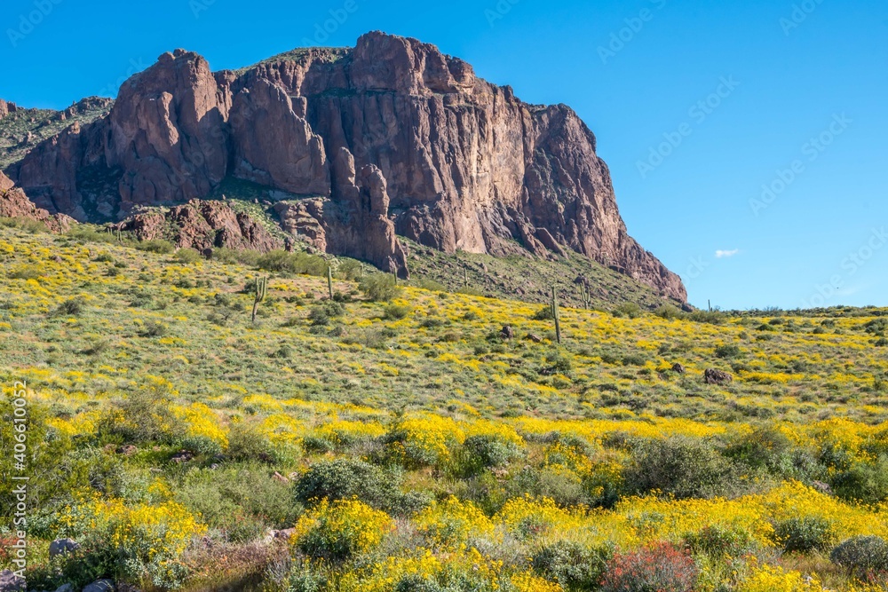 Obraz premium An overlooking view of nature in Lost Dutchman SP, Arizona