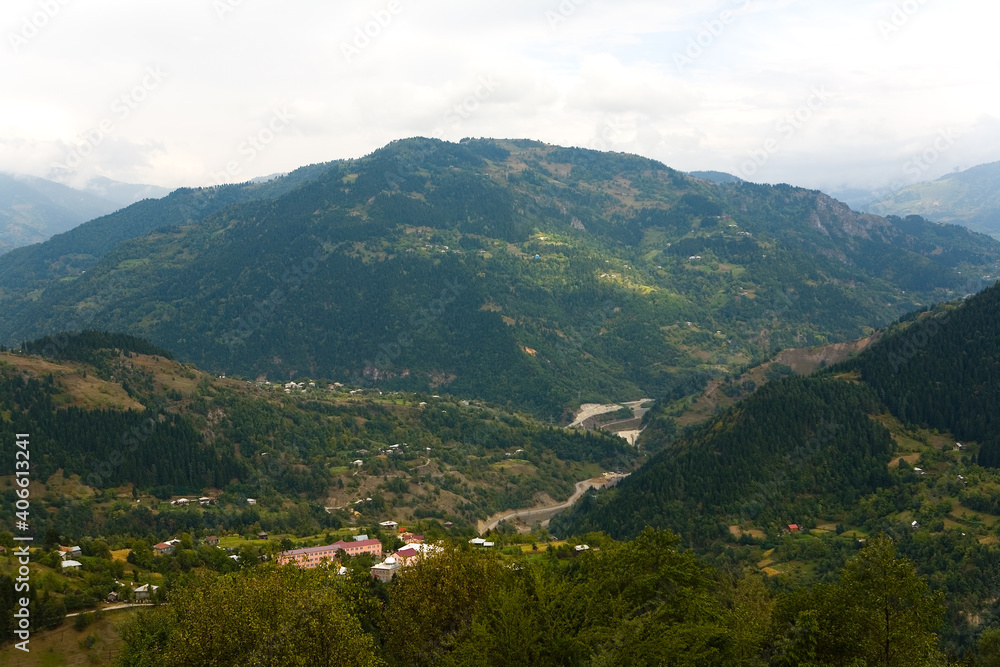 Fototapeta premium Top view of the gorge and mountains covered with forest.
